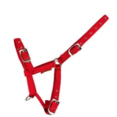 Cameo Equine Foal Headcollar