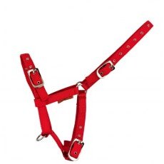Cameo Equine Foal Headcollar Cameo Equine Foal Headcollar
