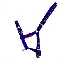Cameo Equine Foal Headcollar Cameo Equine Foal Headcollar