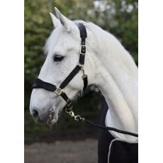 Cameo Equine Suede Elite Headcollar & Leadrope