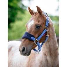 LeMieux Mini Vogue Headcollar - Benetton Blue