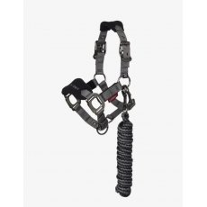 LeMieux Mini Vogue Headcollar - Black