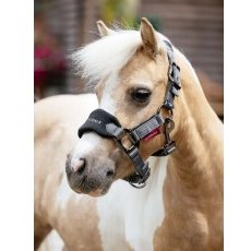LeMieux Mini Vogue Headcollar - Black LeMieux Mini Vogue Headcollar - Black