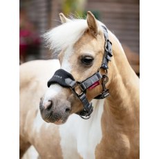 LeMieux Mini Vogue Headcollar - Black