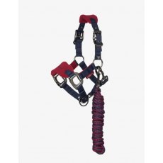 LeMieux Mini Vogue Headcollar - Burgundy