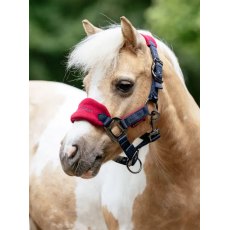 LeMieux Mini Vogue Headcollar - Burgundy