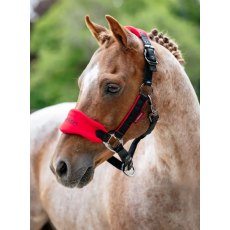 LeMieux Mini Vogue Headcollar - Chilli