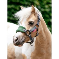 LeMieux Mini Vogue Headcollar - Hunter Green