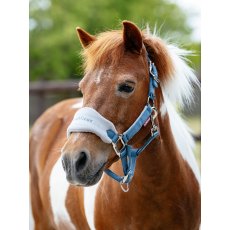 LeMieux Mini Vogue Headcollar - Ice Blue