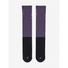 LeMieux Competition Socks (2 Pack) - Juniper