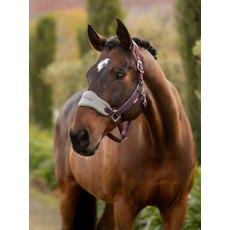 LeMieux Vogue Headcollar & Leadrope - Damson