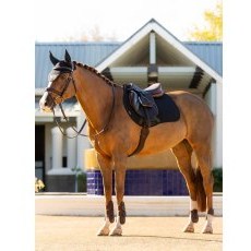 LeMieux Essence Eurojump Square - Black LeMieux Essence Eurojump Square - Black