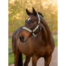 LeMieux Essence Headcollar - Rosemary