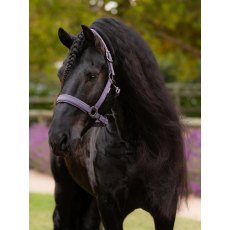 LeMieux Essence Headcollar - Juniper
