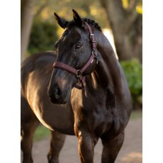 LeMieux Essence Headcollar - Damson