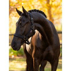 LeMieux Essence Headcollar - Black
