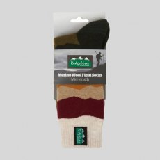 Ridgeline Merino Wool Socks (Mid) - Berry Stripes