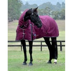 Weatherbeeta Comfitec Essential Combo Neck - 360g Weatherbeeta Comfitec Essential Combo Neck - 360g