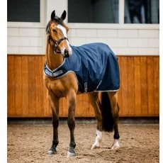 Amigo Ripstop 900D Walker Rug - 100g Amigo Ripstop 900D Walker Rug - 100g