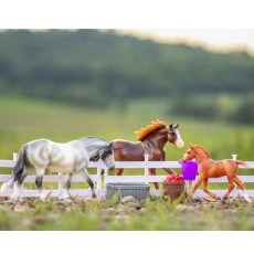 Breyer Playful Pony Horse Family Breyer Playful Pony Horse Family