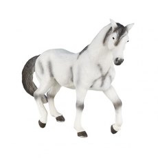 Mojo: Andalusian Grey