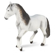 Mojo: Andalusian Grey