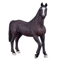 Mojo: Arabian Stallion Black Mojo: Arabian Stallion Black