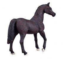 Mojo: Arabian Stallion Black Mojo: Arabian Stallion Black