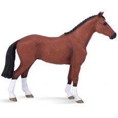 Mojo: Dutch Warmblood