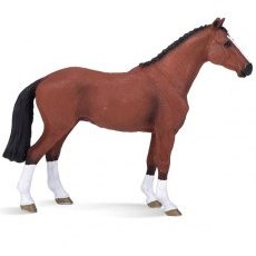 Mojo: Dutch Warmblood Mojo: Dutch Warmblood