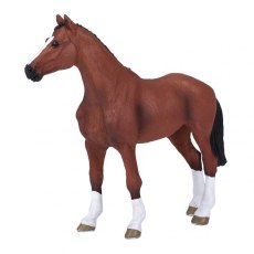Mojo: Dutch Warmblood
