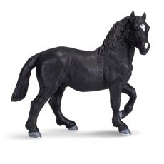 Mojo: Percheron Mojo: Percheron