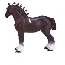 Mojo: Shire Horse