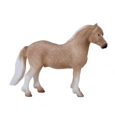 Mojo: Welsh Pony Mojo: Welsh Pony