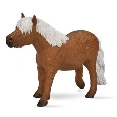 Mojo: Shetland Pony Mojo: Shetland Pony