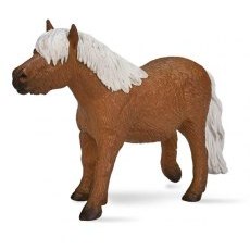 Mojo: Shetland Pony Mojo: Shetland Pony
