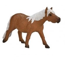 Mojo: Shetland Pony Mojo: Shetland Pony