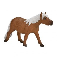 Mojo: Shetland Pony Mojo: Shetland Pony