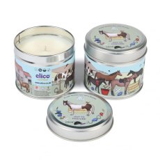 Jenkinsons Elico Soy Candle: Out to Pasture Jenkinsons Elico Soy Candle: Out to Pasture