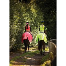 Woof Wear Winter Hi Vis Exercise Sheet Woof Wear Winter Hi Vis Exercise Sheet