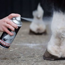 Smart Grooming Cover Up Spray - White Smart Grooming Cover Up Spray - White