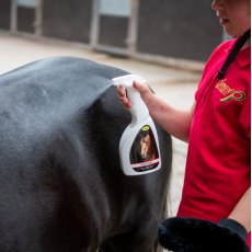 Smart Grooming Coat Sheen Body Spray