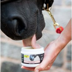 Smart Grooming Lip & Bit Balm