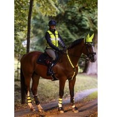 Woof Wear LED Neck Band - Hi Vis Yellow Woof Wear LED Neck Band - Hi Vis Yellow