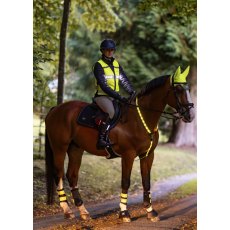 Woof Wear LED Neck Band - Hi Vis Yellow