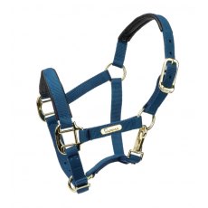 Shires ARMA Topaz Nylon Headcollar