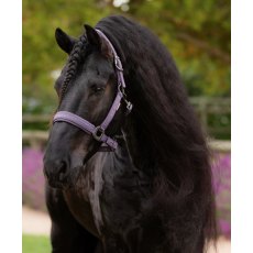LeMieux Essence Headcollar - Juniper