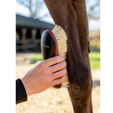 LeMieux Dandy Brush - Black LeMieux Dandy Brush - Black