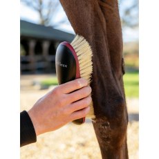 LeMieux Dandy Brush - Black