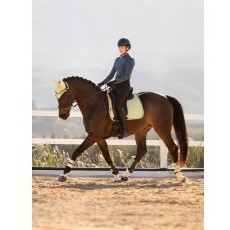 LeMieux Suede Dressage Square - Macaron